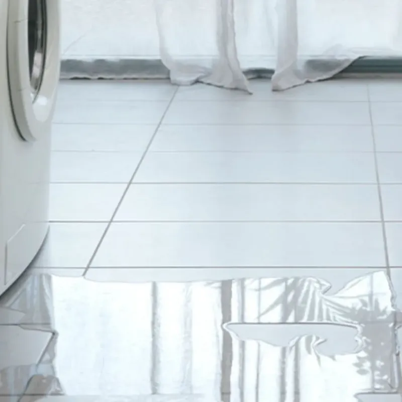 Appliance Leak Cleanup in La Blanca, TX