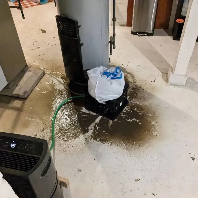 Sewage Backup Cleanup Service in La Blanca, TX